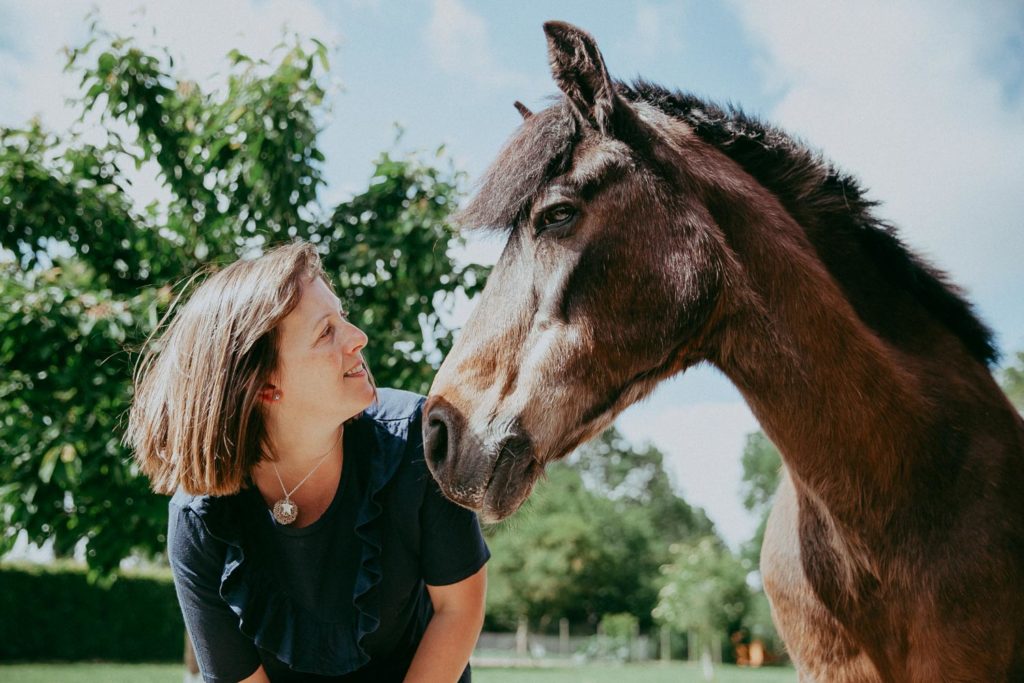 seance photo cheval