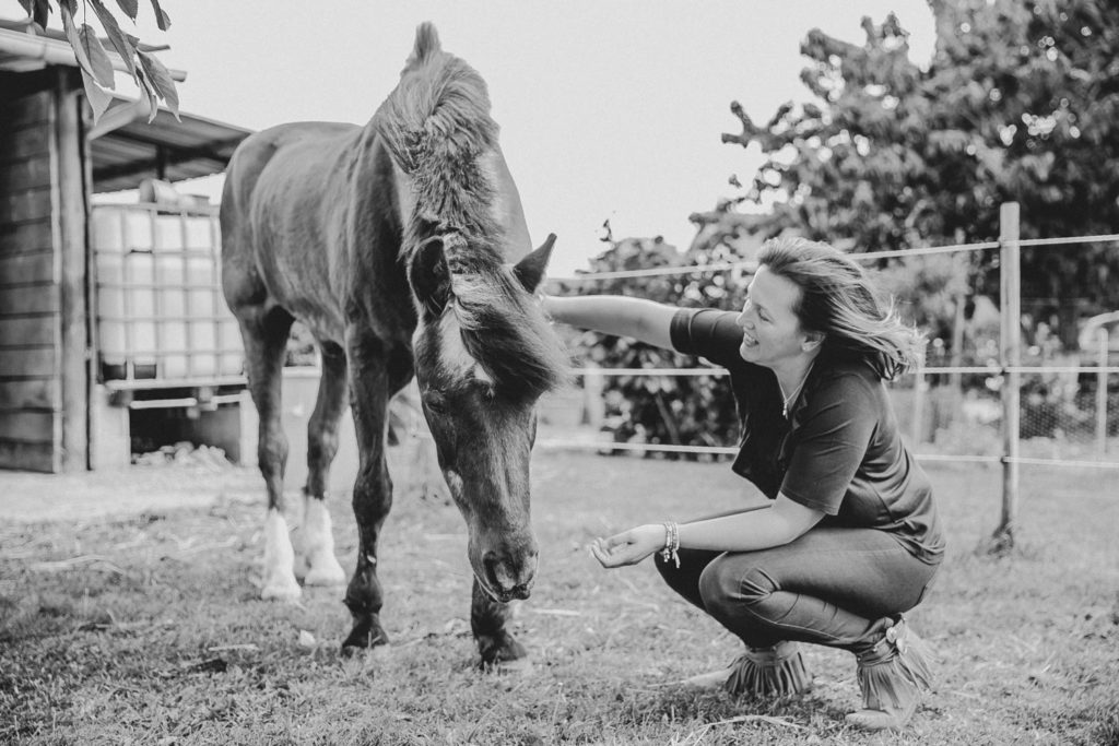 seance photo cheval