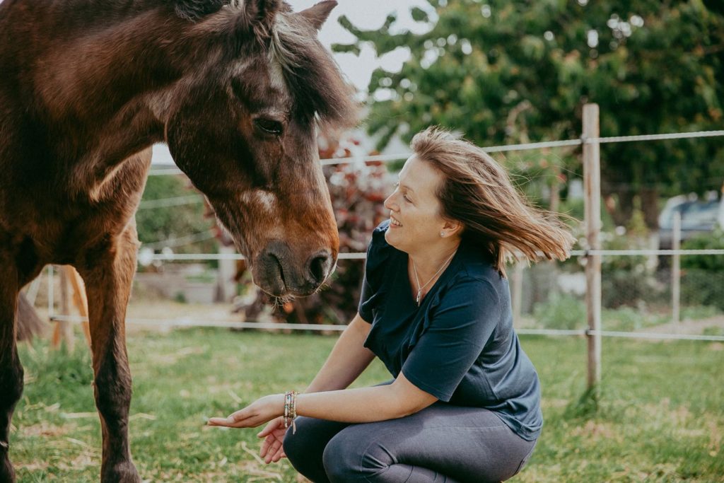 seance photo cheval