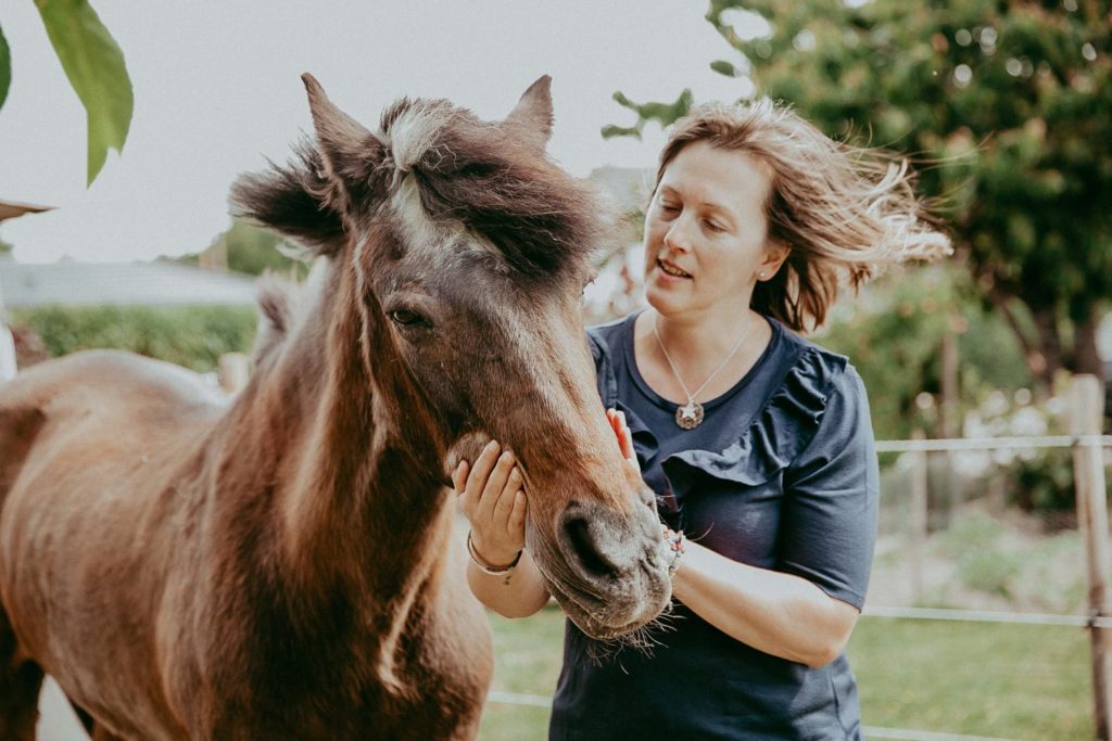 seance photo cheval