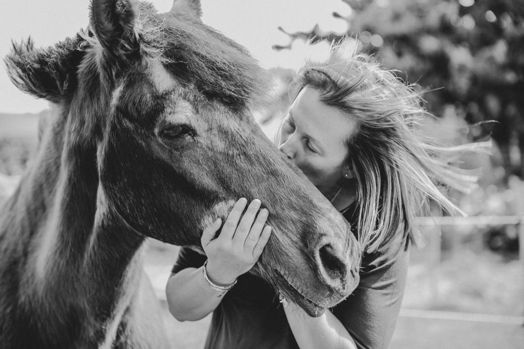 seance photo cheval