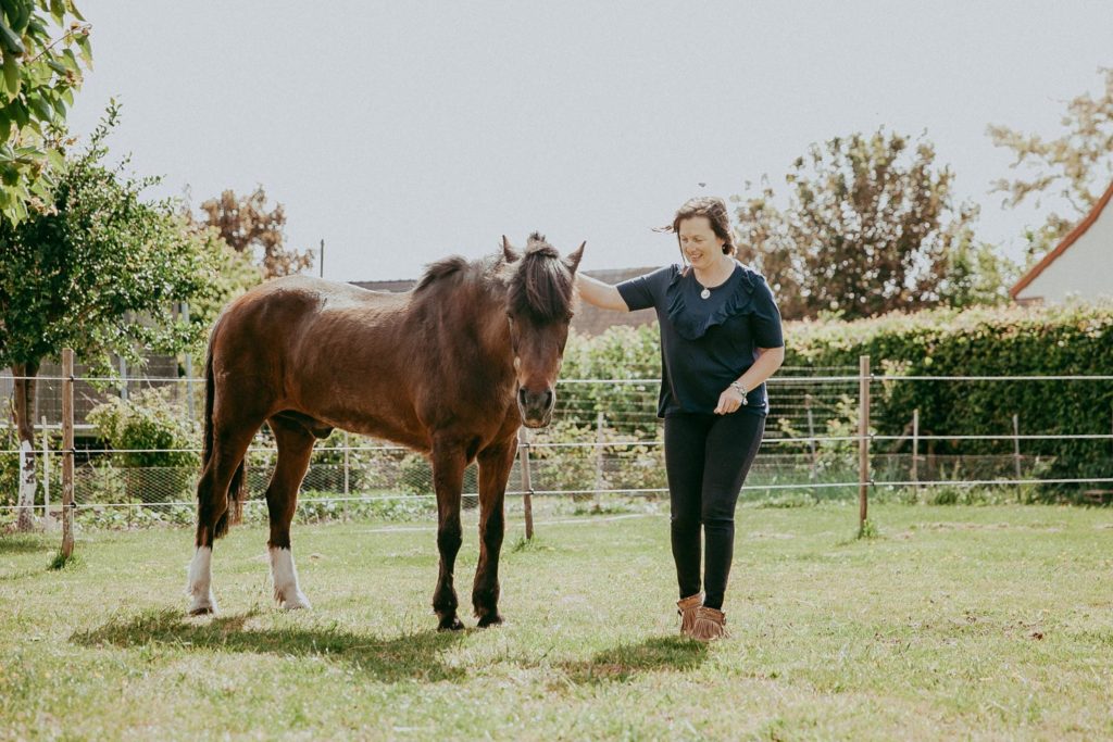 seance photo cheval