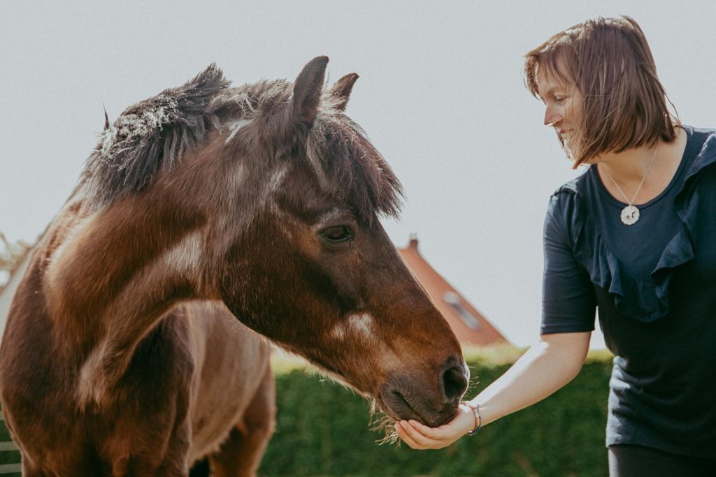 seance photo cheval