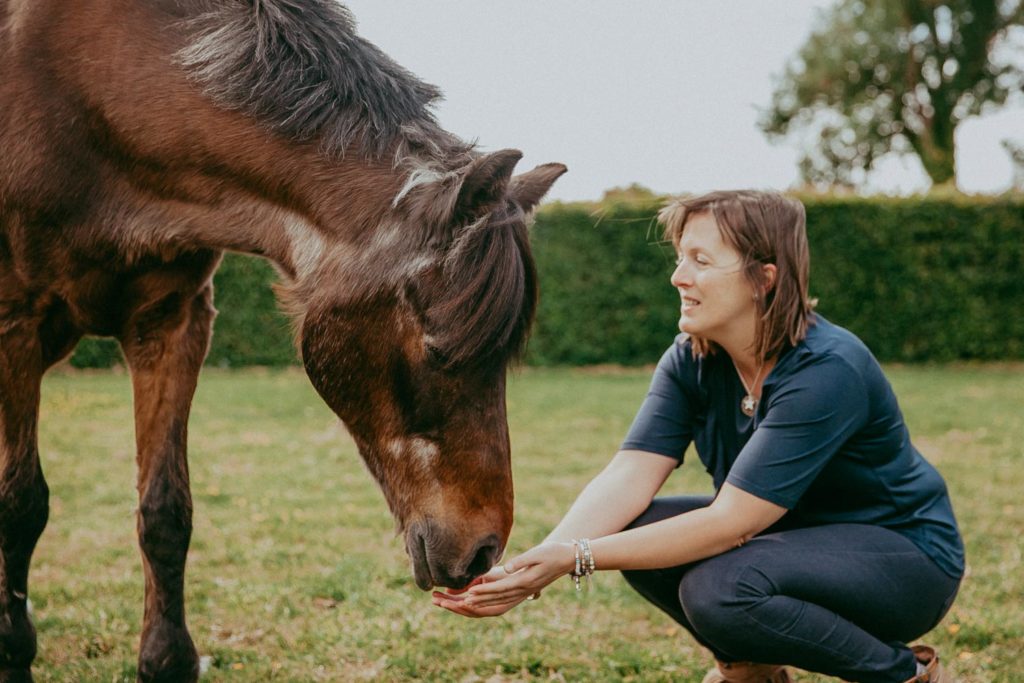 seance photo cheval