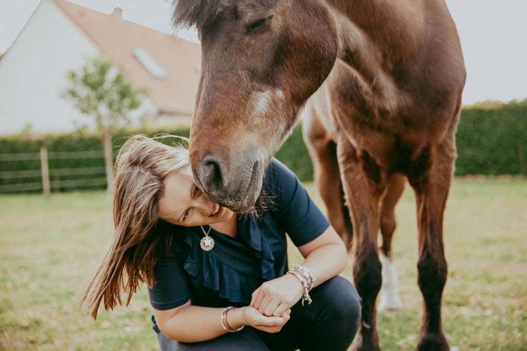 seance photo cheval