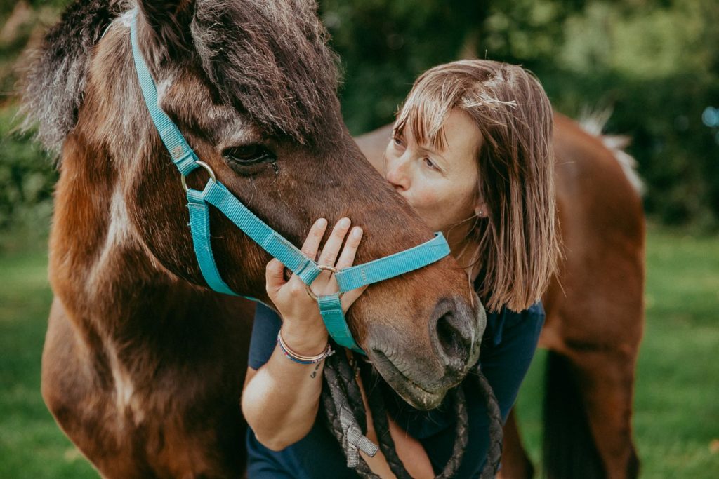 seance photo cheval